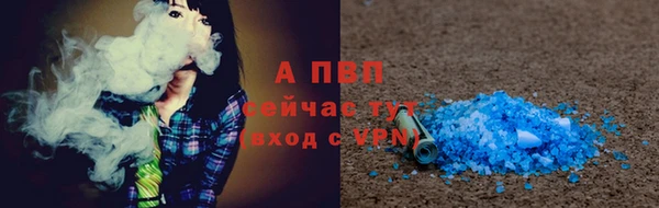 СК Волоколамск