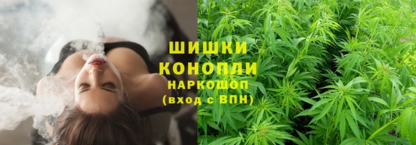 СК Волоколамск